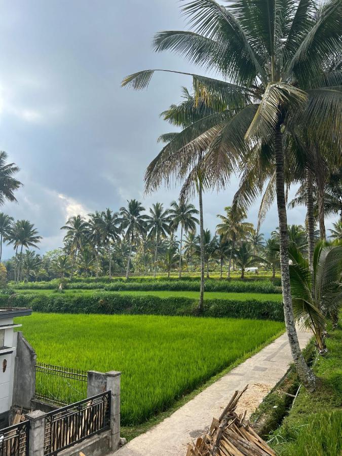 Myhome - Lombok Tetebatu Buitenkant foto