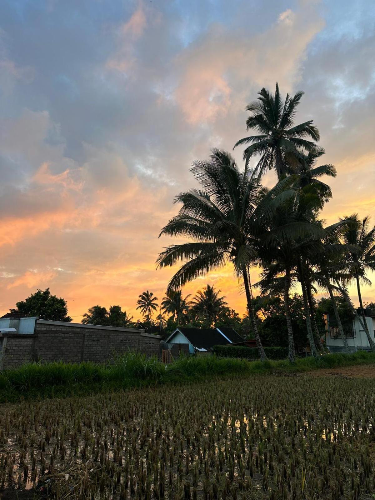 Myhome - Lombok Tetebatu Buitenkant foto