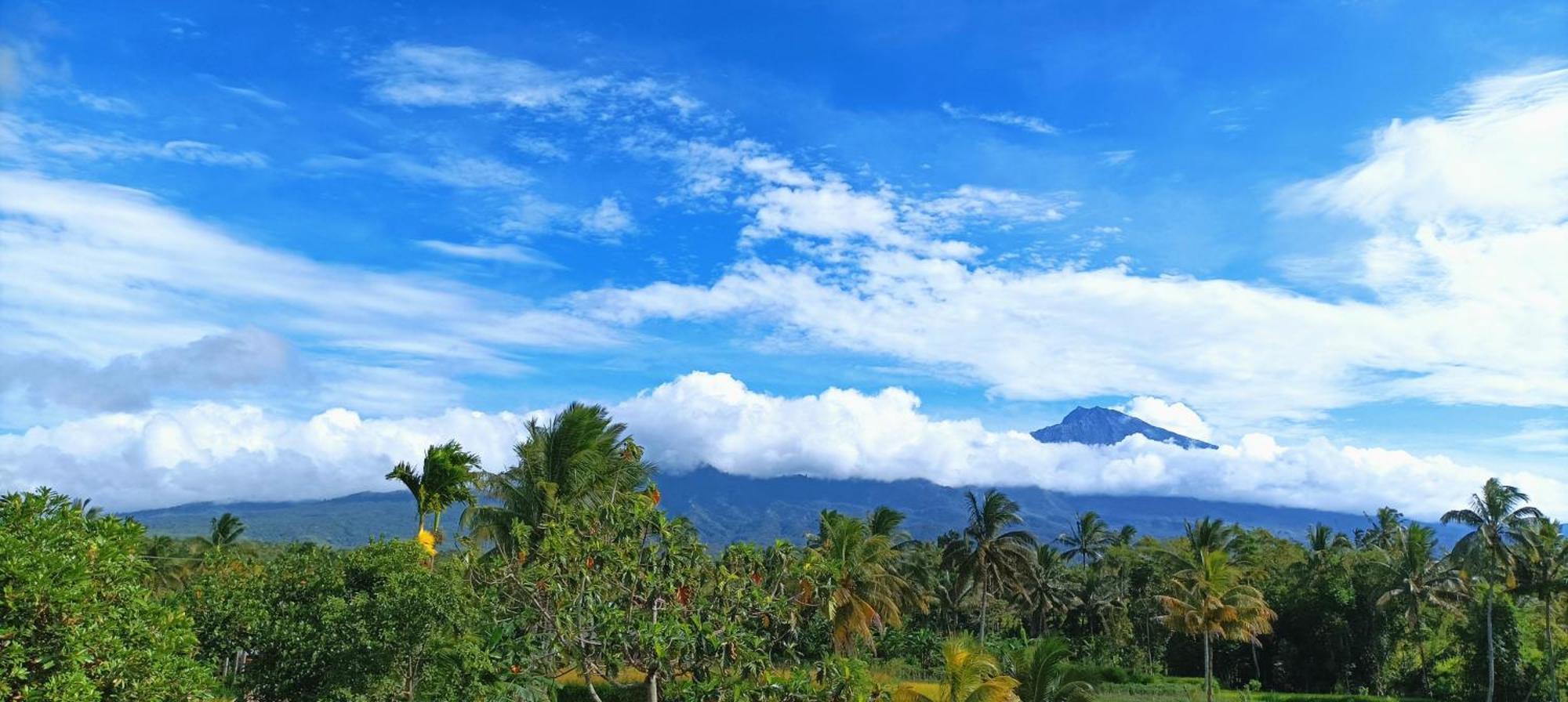 Myhome - Lombok Tetebatu Buitenkant foto