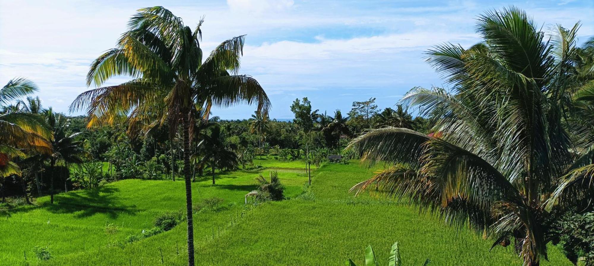 Myhome - Lombok Tetebatu Buitenkant foto