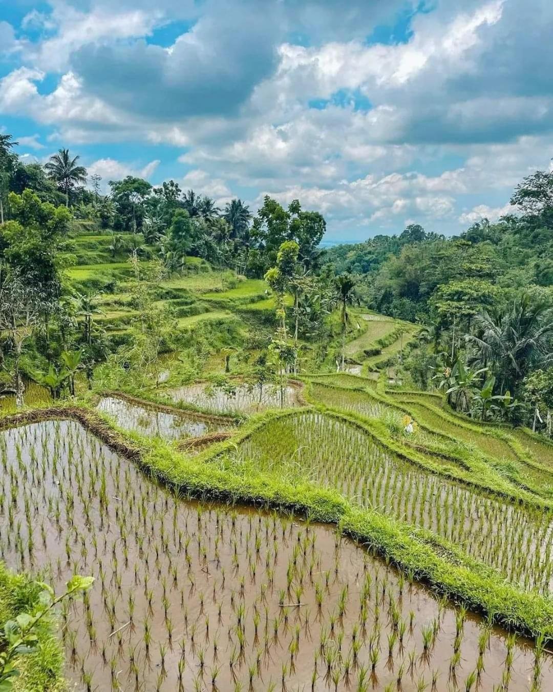 Myhome - Lombok Tetebatu Buitenkant foto