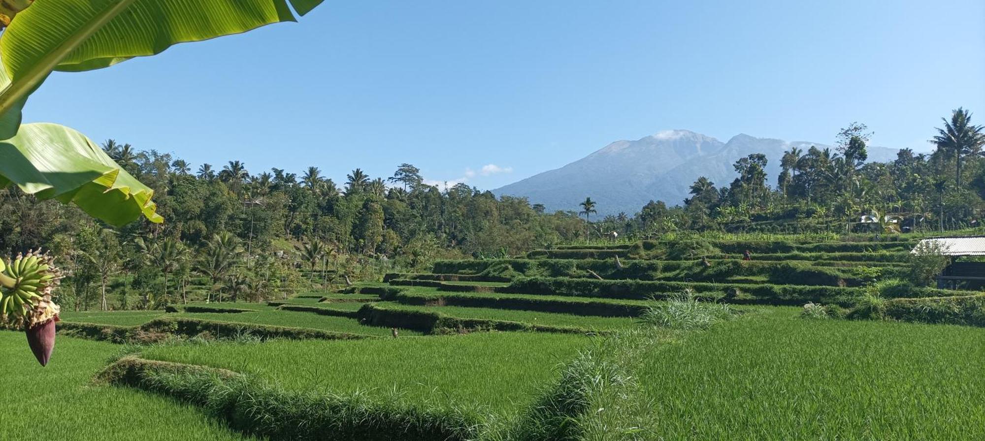 Myhome - Lombok Tetebatu Buitenkant foto