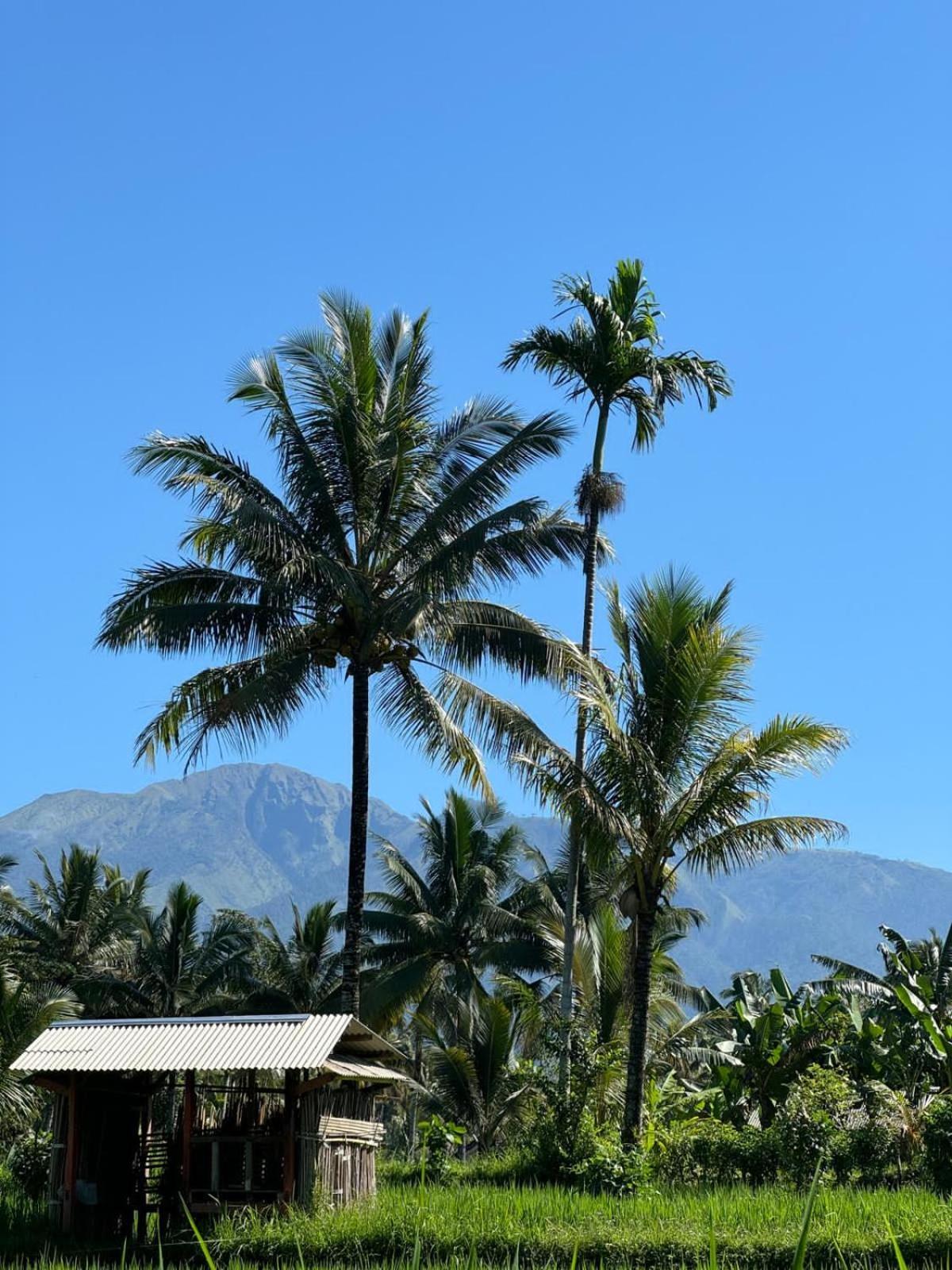 Myhome - Lombok Tetebatu Buitenkant foto