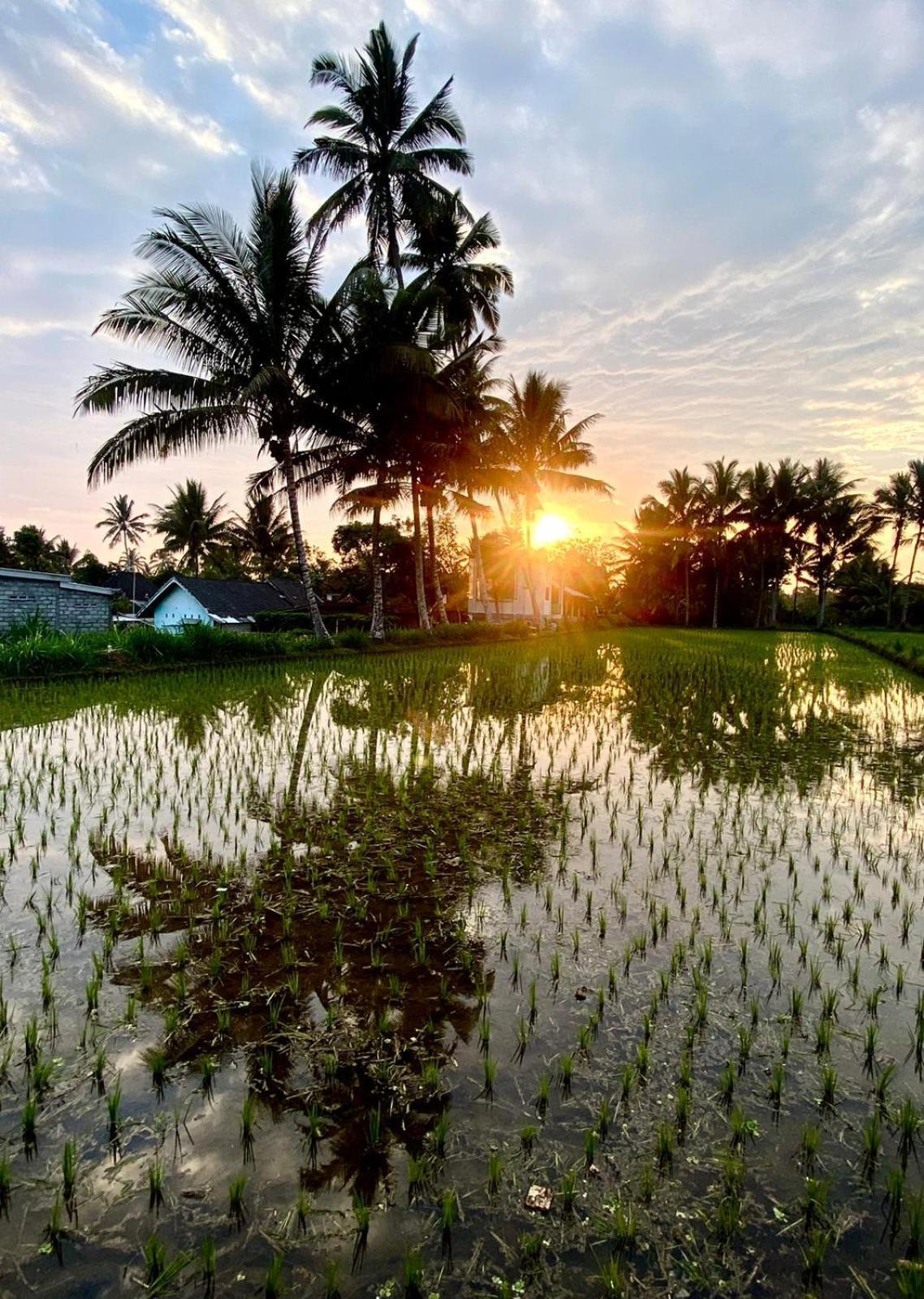 Myhome - Lombok Tetebatu Buitenkant foto