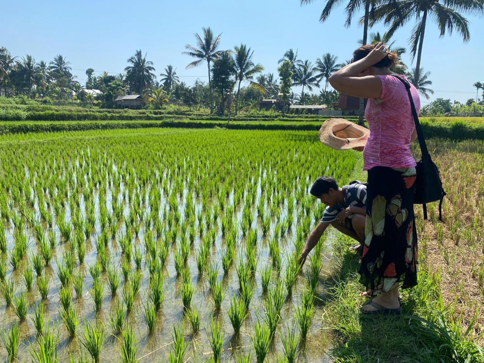 Myhome - Lombok Tetebatu Buitenkant foto