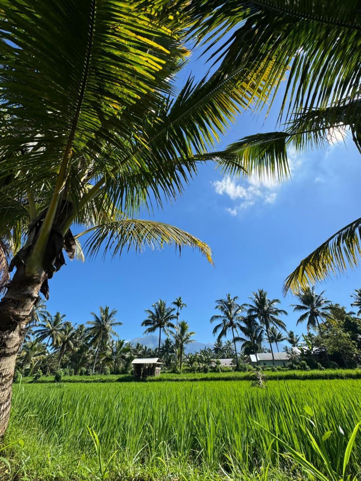 Myhome - Lombok Tetebatu Buitenkant foto