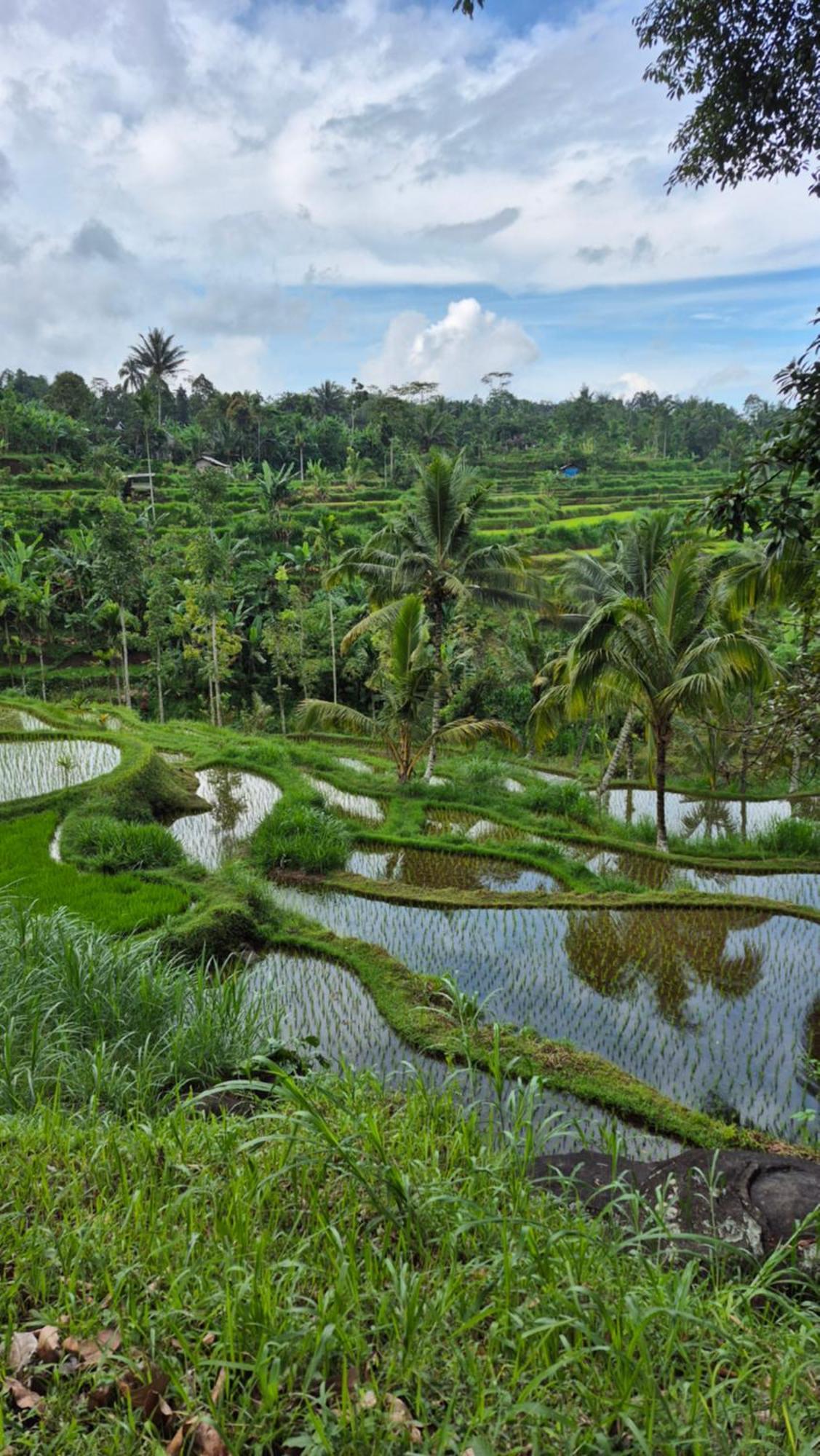 Myhome - Lombok Tetebatu Buitenkant foto